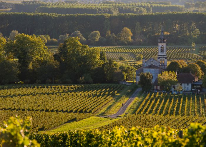 Sauternes, à proximité d'ÉcÔtelia